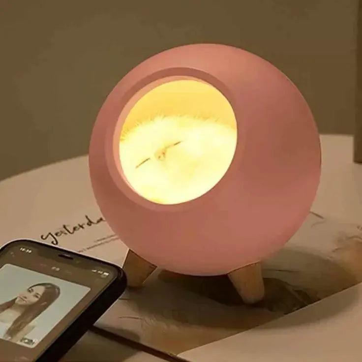 Luminária Casinha do Gatinho - Adora