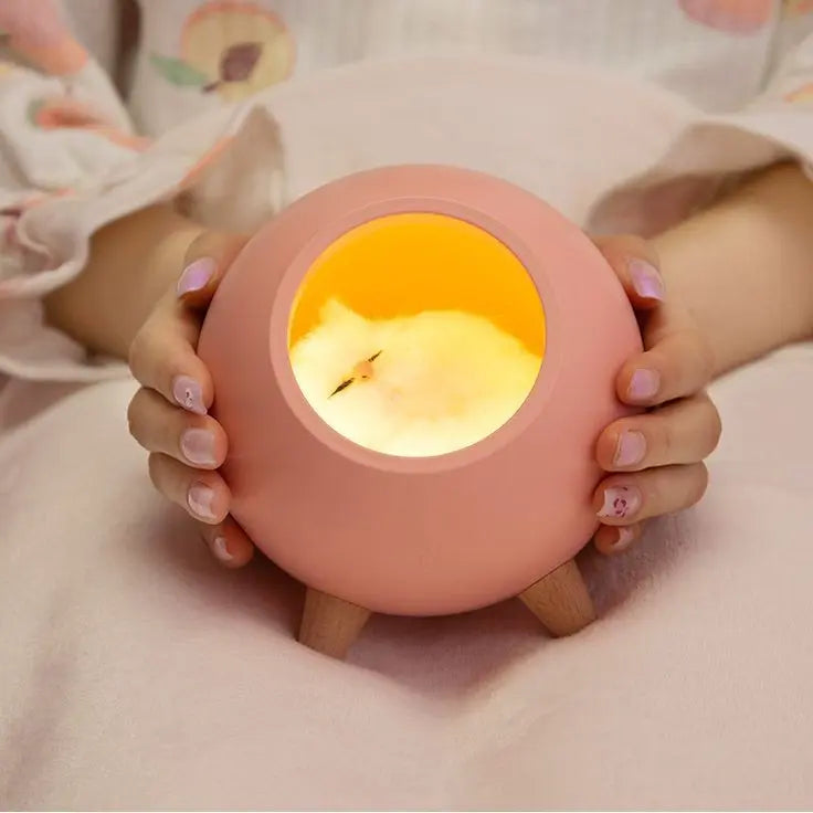 Luminária Casinha do Gatinho - Adora