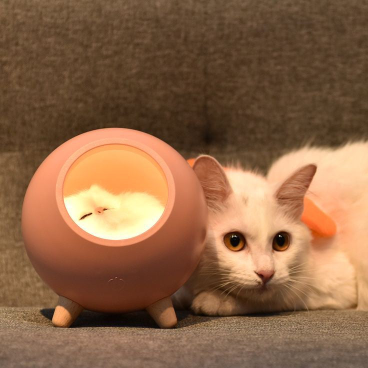 Luminária Casinha do Gatinho - Adora