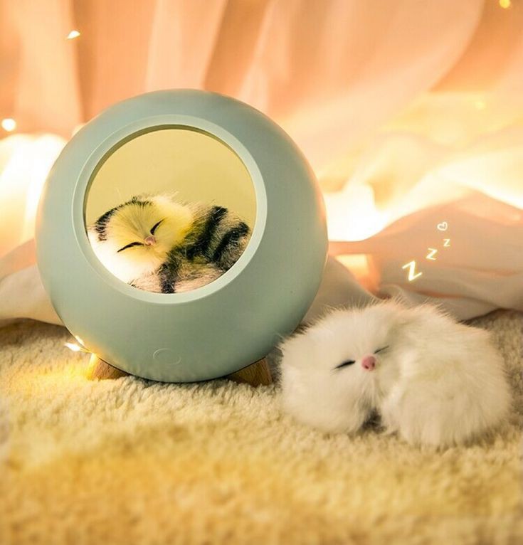 Luminária Casinha do Gatinho - Adora