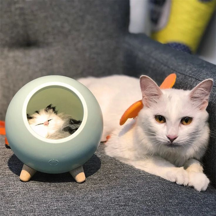 Luminária Casinha do Gatinho - Adora